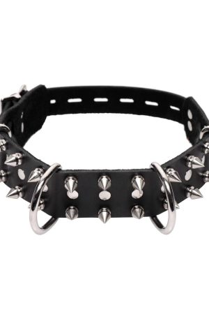 Strict Leather Spiked Dog Collar