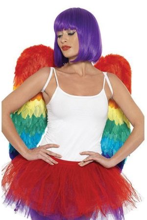 Rainbow Large Feather Wings