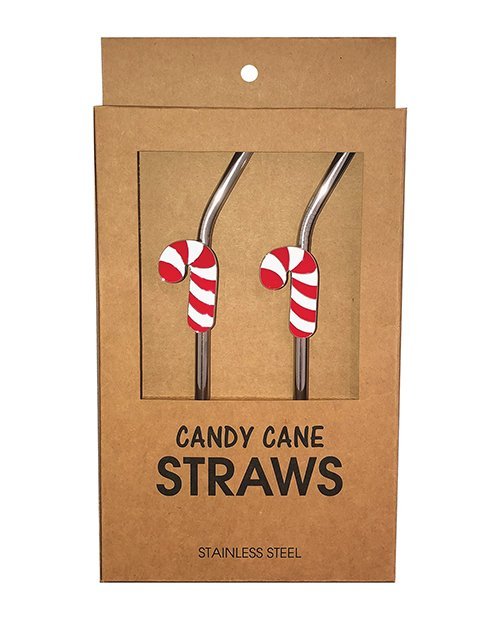 Holiday Candy Cane Reusable Stainless Steel (Dishwasher Safe) Straws - Pack of 2 - Image 2