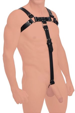 English Bull Dog Harness With Cock Strap