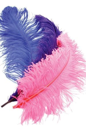 Deluxe Plumes Large 18-28" Ostrich Feathers
