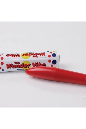 Wonder Vibe Massager w/case