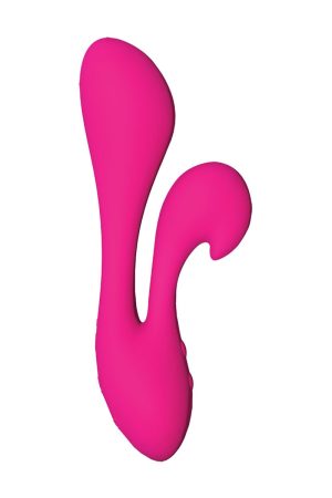 Silhouette Swan