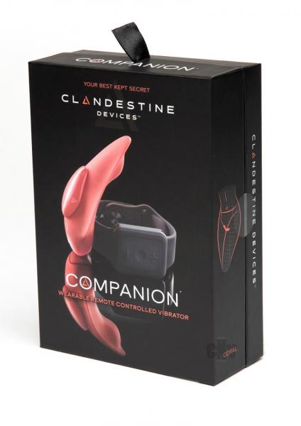 Companion Coral