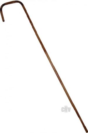 Rouge Bamboo Cane