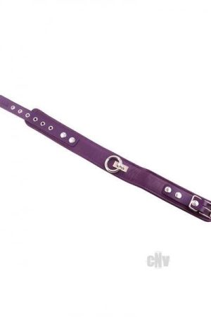 Rouge Plain Collar 1 Ring Purple