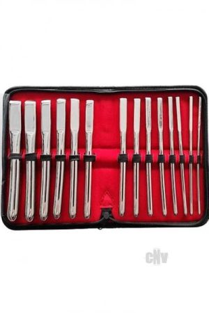 Hegar Uterine Dilator Set Steel