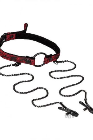 Scandal Open Mouth Gag with Clamps