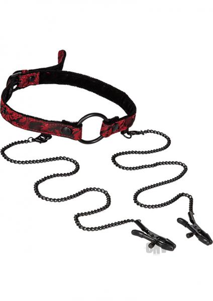 Scandal Open Mouth Gag with Clamps