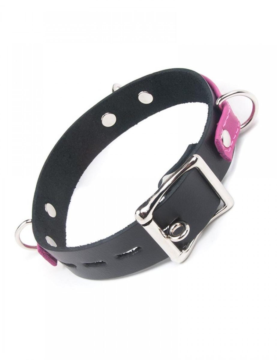 JOANNA ANGEL LOCKING BUCKLE COLLAR - Image 2