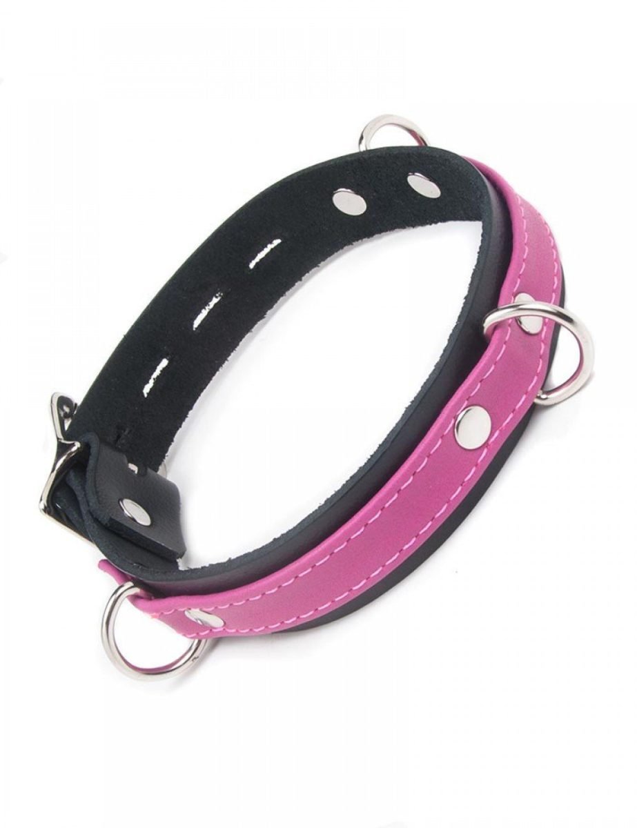 JOANNA ANGEL LOCKING BUCKLE COLLAR