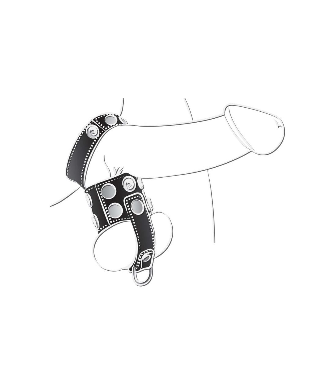 Ballgear Ball Stretcher With Separator & D-Ring Black - Image 3