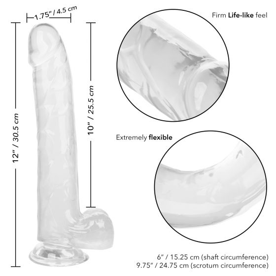 Size Queen 10In Clear - Image 5