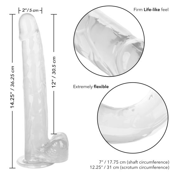 Size Queen 12In Clear - Image 5