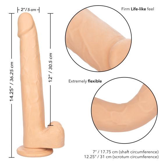 Size Queen 12In Ivory - Image 5
