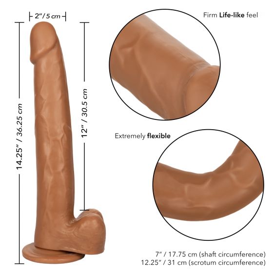 Size Queen 12In Brown - Image 5
