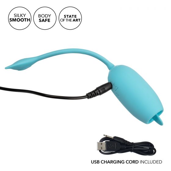 Rechargeable Kegel Teaser Blue - Image 7