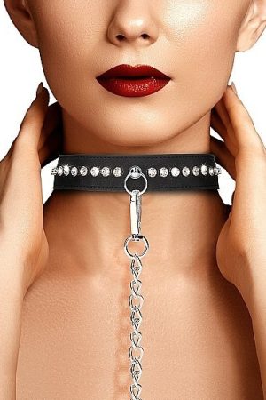 Diamond Studded Collar W/ Leash