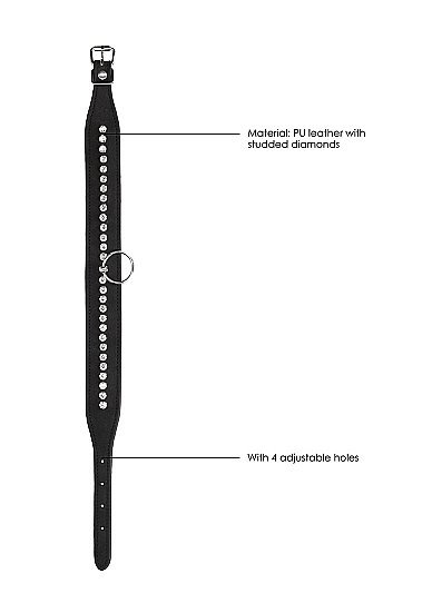 Diamond Studded Collar W/ Leash - Image 5