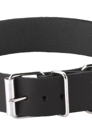 PLAIN COLLAR 1IN W/BUCKLE & D RING