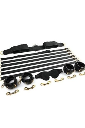 Special Edition Under The Bed Restraint System