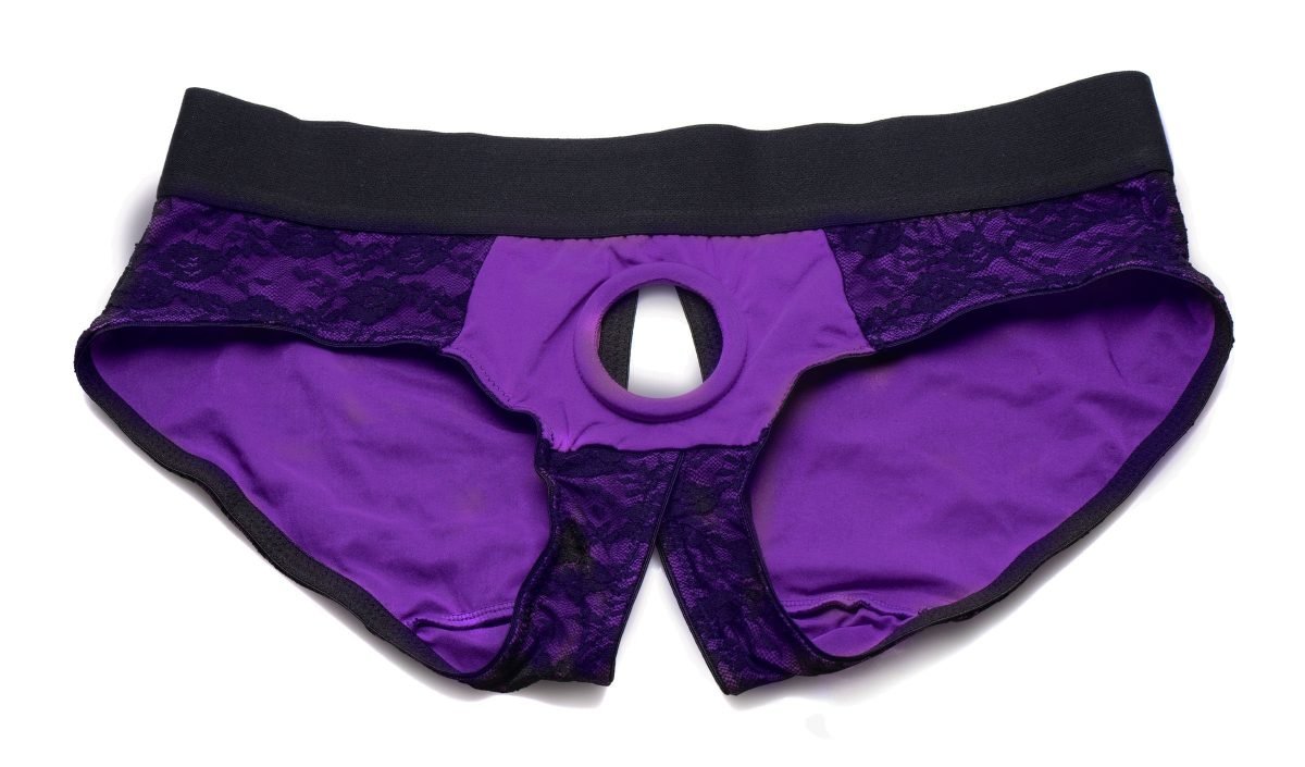 Lace Envy Crotchless Panty Harness - S-M - Image 4