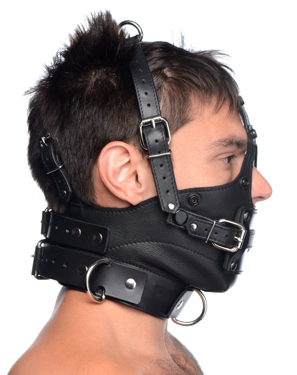 Leather Head Harness with Removeable Gag - Image 5
