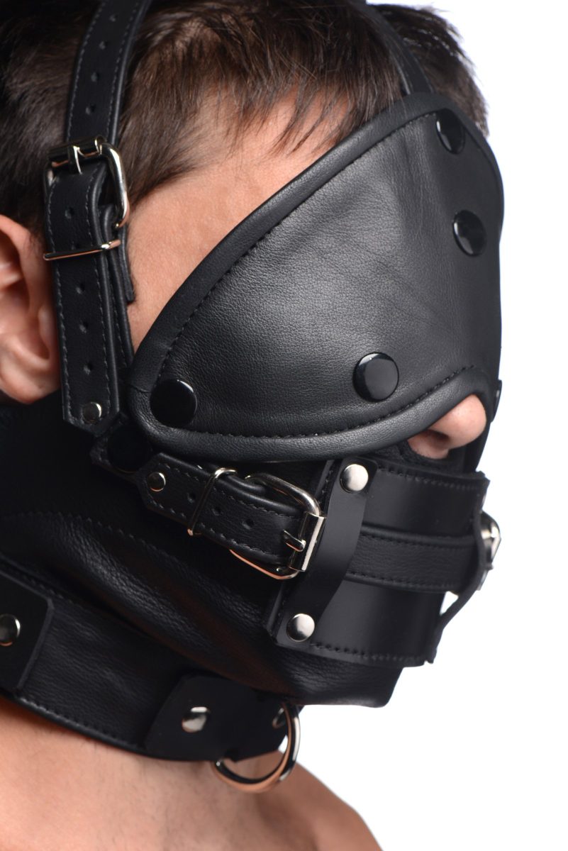 Leather Head Harness with Removeable Gag - Image 3