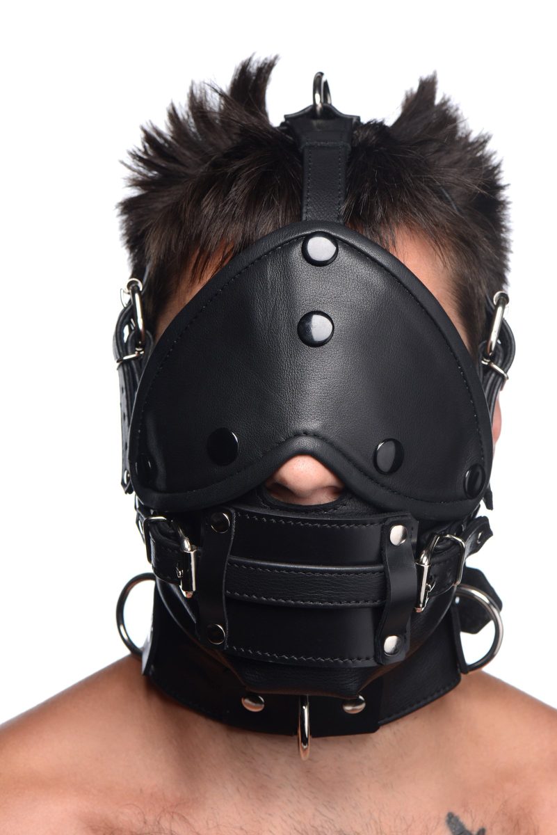 Leather Head Harness with Removeable Gag - Image 2