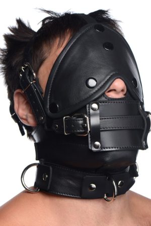 Leather Head Harness with Removeable Gag
