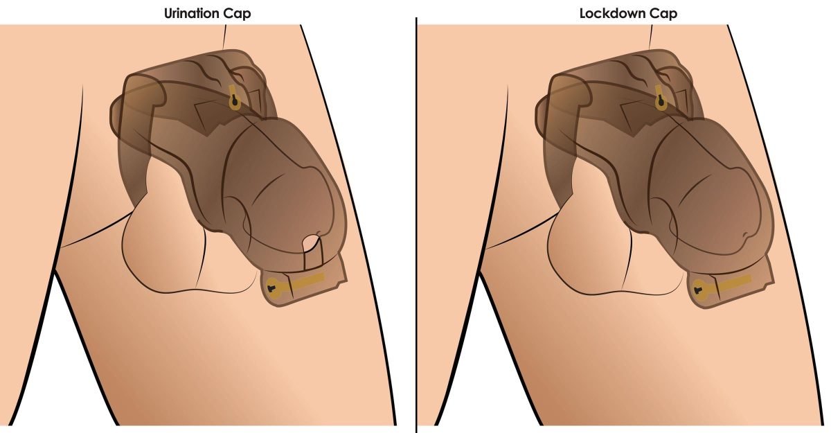 Lockdown Customizable Chastity Cage - Black - Image 2