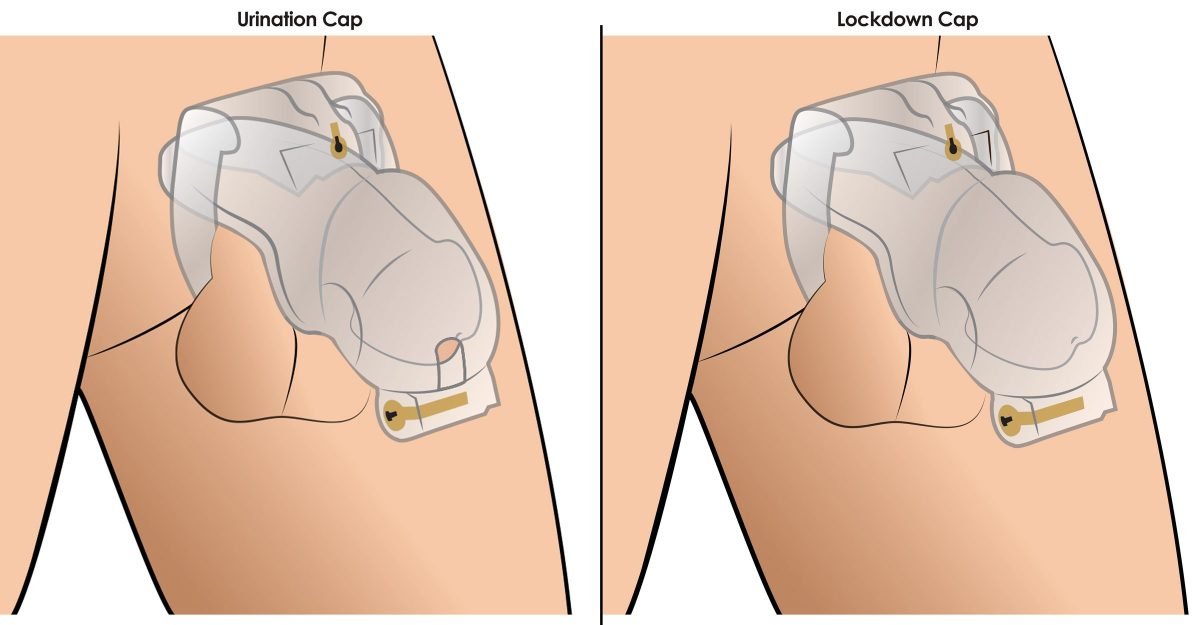 Lockdown Customizable Chastity Cage - Clear - Image 3