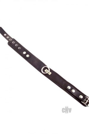 Rouge Leather Plain Collar 1 Ring Black