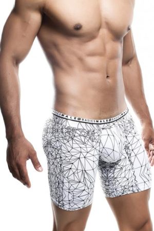 Male Basics Spider Hipster Boxer Brief White/black Sm