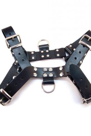 Rouge Over The Head Medium Harness