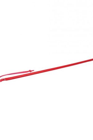 Spartacus 24" Leather Wrapped Cane - Red