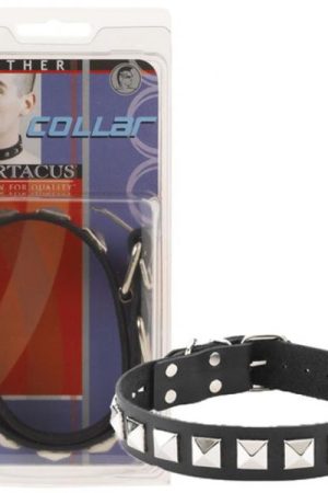 Leather Collar 1 Inch With Assorted Studs