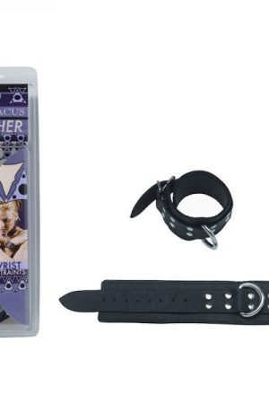 Wrist Restraints D Ring