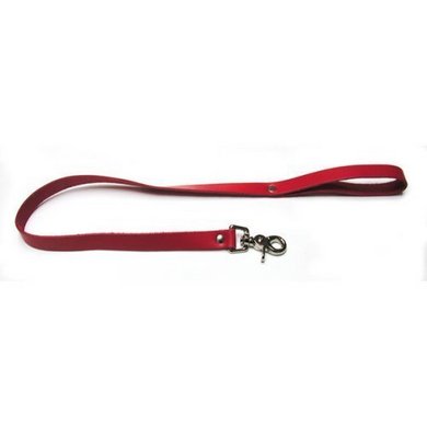 Bondage Basics Leather Leash Red 30 inches
