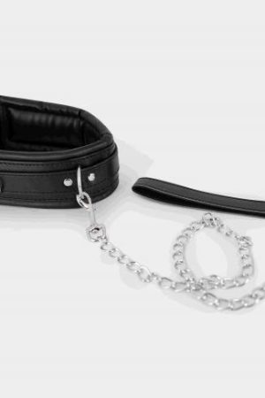Collar & Leash