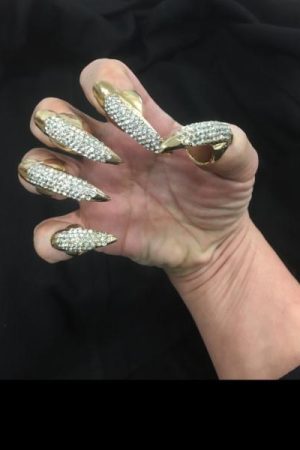 Bling Nail Set Crystal 5 Piece Cat Claws