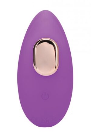 In A Bag Panty Vibe W/remote - Purple