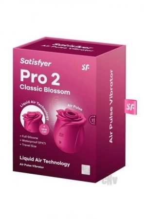 Satisfyer Air Pump Vibrator 1