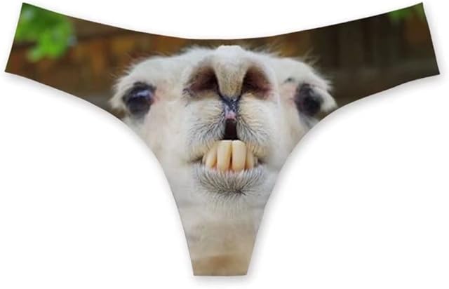 Women Sexy Thong Underwear High Cut Breathable Stretch Comfortable Underwear Brief
