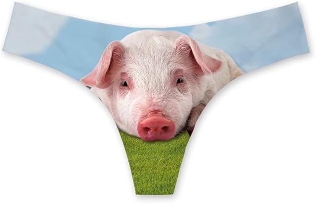 Funny Underwear Women Sexy Breathable High Cut Panties Low Rise Cheeky Hipster S-3XL