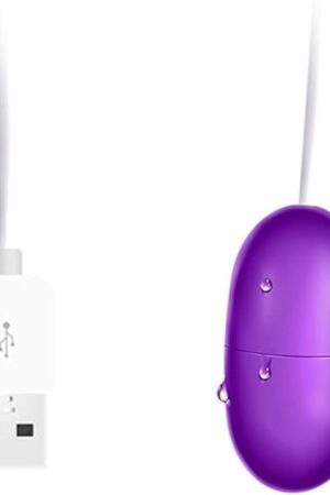 Bullet Vibrator,Bullet Egg Vibrator with Wired Waterproof Clitoral Stimulator Vaginal Prostate Massager Sex Toys Vibrating Eggs Multispeed G Spot Massage USB Sex Toys for Women(Purple)