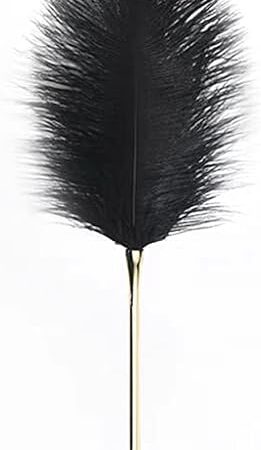 Feather Tickler | Ostrich Feather w/ 24K Gold Plated Handle | Sexual Enhancers, Bondage Gear & Accessories for BDSM Couples Play | Bondage Restraints Kink, Sexual Wellness