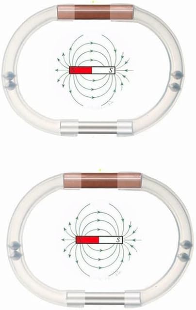 Erato Penis ED Blakoe Magnetic Zinger Male Enlagerment Enlarger No Pumps,Penis Ring (2 pcs)