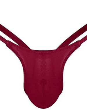 YOLAI Mens Sexy V-String Erotic Underwear Low Rise Briefs G-String Thong Lingerie Bikinis (Wine, L)