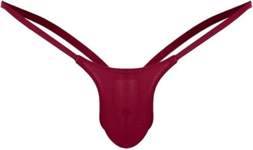 YOLAI Mens Sexy V-String Erotic Underwear Low Rise Briefs G-String Thong Lingerie Bikinis (Wine, L)